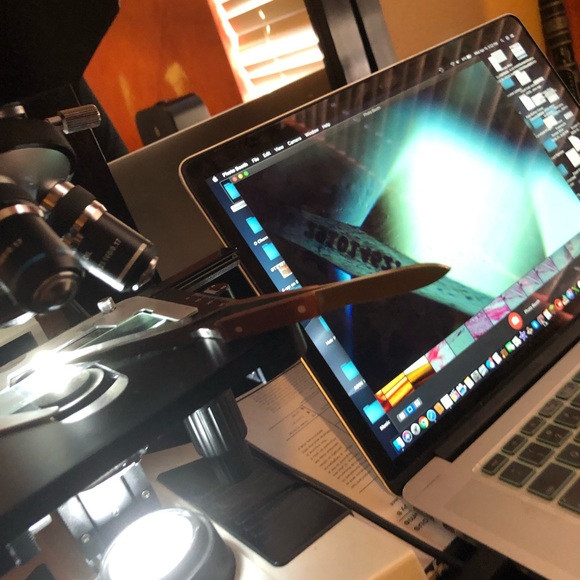 Gem Serial # Inscribed Pics - Picture 5 of 15